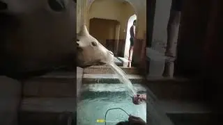 💕 झाझीरामपुरा का कुंड और गाय के मुख से आता पानी # बसवा झाझीरामपुरा 💕💕💕💕💕💕💕