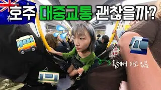 [호주 대중교통 총정리] 휠체어로 호주 여행 어떻냐구요? 멜버른 한달살이 해보고 답해드립니다.