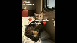 что означают скобки в сообщениях