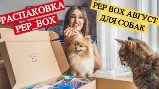Pep Box Август для собак всех пород