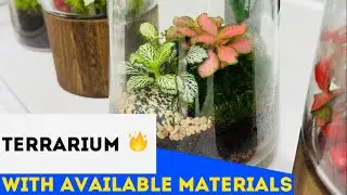 Making a Terrarium with Available Materials 2024 