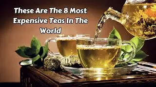 These Are The 8 Most Expensive Teas In The World