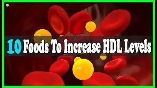 10 Foods To Increase Your HDL (Good Cholesterol) Levels | Best Home Remedies