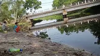 Vlog nghệ thuật đỉnh của đỉnh câu cá