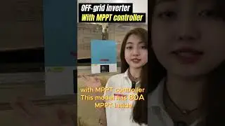 Off Grid Inverter with MPPT Controller