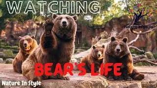 Bear - The Secrets of Nature | Nature In Style