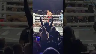 CRAZY KO BY ANDREI ARVLOSKI FOR MISFITS BOXING DEBUT