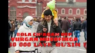 Мусофирлар учун янги кушик 2019