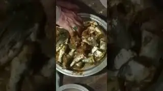 catch and cook shorts