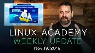 Co-founder of Kubernetes and more NEW courses