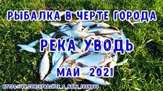 Плотва и уклейка на каждом забросе. Рыбалка в городской черте. Река Уводь, город Иваново.