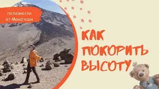 Поход в горы | Препараты для адаптации в горах