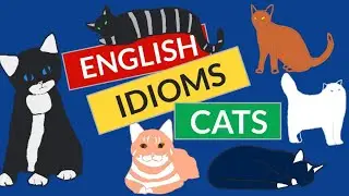 English Idioms: Cats in Action! #english #idioms