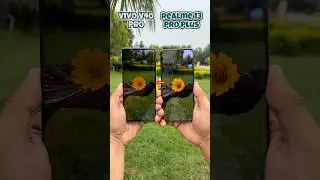 Vivo V40 Pro vs Realme 13 Pro Plus Camera Test #shorts