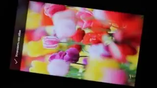 Углы обзора экрана Philips S616
