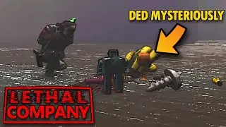 Modded Lethal Company Gets Buggy