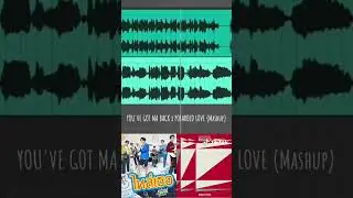 You've Got Ma Back x Polaroid Love - CHINZILLA & ENHYPEN (Short Mashup) | Short Mashup #3