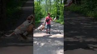 Что за птичка поёт, кто знает ?