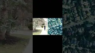 What's a HaLow?