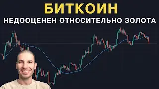 Анализ стоимости биткоина относительно золота