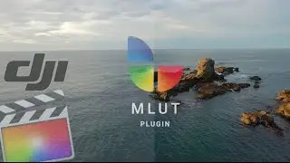 DJI - DLOG to REC.709 using mLut plugin