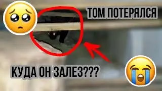 ТОМ ПОТЕРЯЛСЯ!!!!! ЧТО ДЕЛАТЬ? КУДА ОН ЗАЛЕЗ????