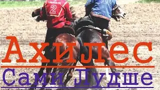 Ахиллес Кок бору Ahiles kokboru