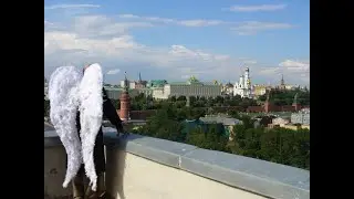 Видеоэкскурсия по выставке «Живите в Москве»