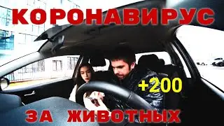 МИКРО КОНФЛИКТЫ В ТАКСИ ИЗ-ЗА ДОПЛАТ.....