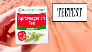 Bad Heilbrunner - Spitzwegerich Tee (Arzneitee) | TEETEST