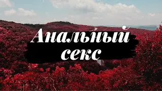 Аналдық жыныстық қатынас