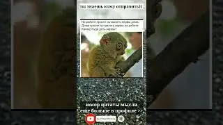 тик-ток shorts