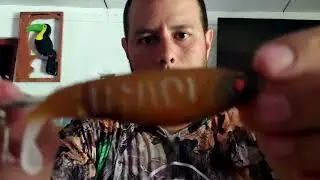 Preparando equipo, cuál usarías ?🐟