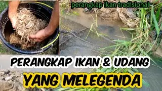 angkat perangkap udang di kali