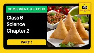 NCERT Class 6 Science | Chapter 2 : Components of Food - Part 1