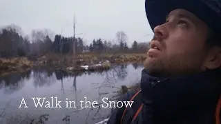 A Walk in the Snow (feat. 