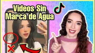 Como GUARDAR VIDEOS de TIKTOK SIN MARCA DE AGUA ✅En Android y Iphone 📱☺️