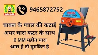CHAFF CUTTER WORKING ON RICE STRAW - अमर पंजाब चारा कटर - चावल के पवाल पर चलता हुआ