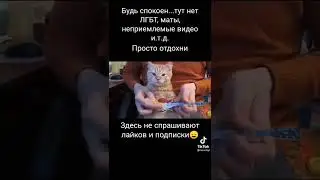 ᶰ ᵒ  ᵐ ᵉ ᵐ ¹²⁰ #мем #мемы #ржака #смехдослез #прикол #приколы #лучшее #рекомендации #short