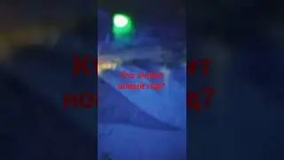 1 января 2024 г.