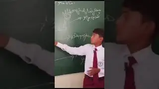 Science | Nervous System in Human Body | Sindhi