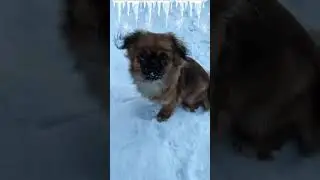 У нас тоже когда-то была зима 😀🤩 18.01.2021