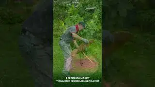 «Контур» комплект круг приствольный