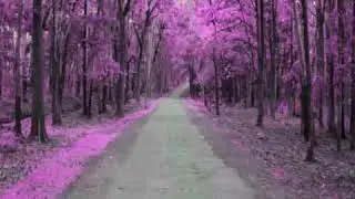 Sentimental me Cover by charlie ben-natan
