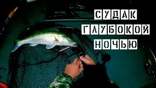 Ловля судака глубокой ночью!!!