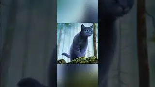 Клип режесёр .| Коты воители персонажи первого цикла.