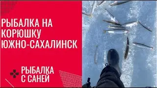 РЫБАЛКА НА КОРЮШКУ ЗИМОЙ ЮЖНО-САХАЛИНСК (САХАЛИН) 2022