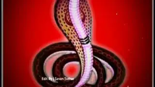 Jay Goga new status 2020 || Jay Goga whatsapp status video || Nitin kolavada new song