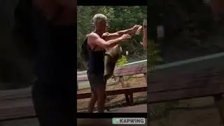 When animals are smarter than humans!