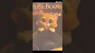 PUSS in BOOTS⚡